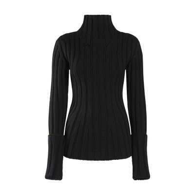 Ann Demeulemeester Tia Cropped Rib Darted High Neck Sweater