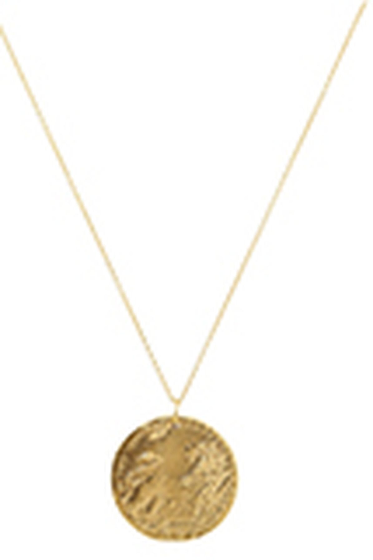  Il Leone medallion necklace