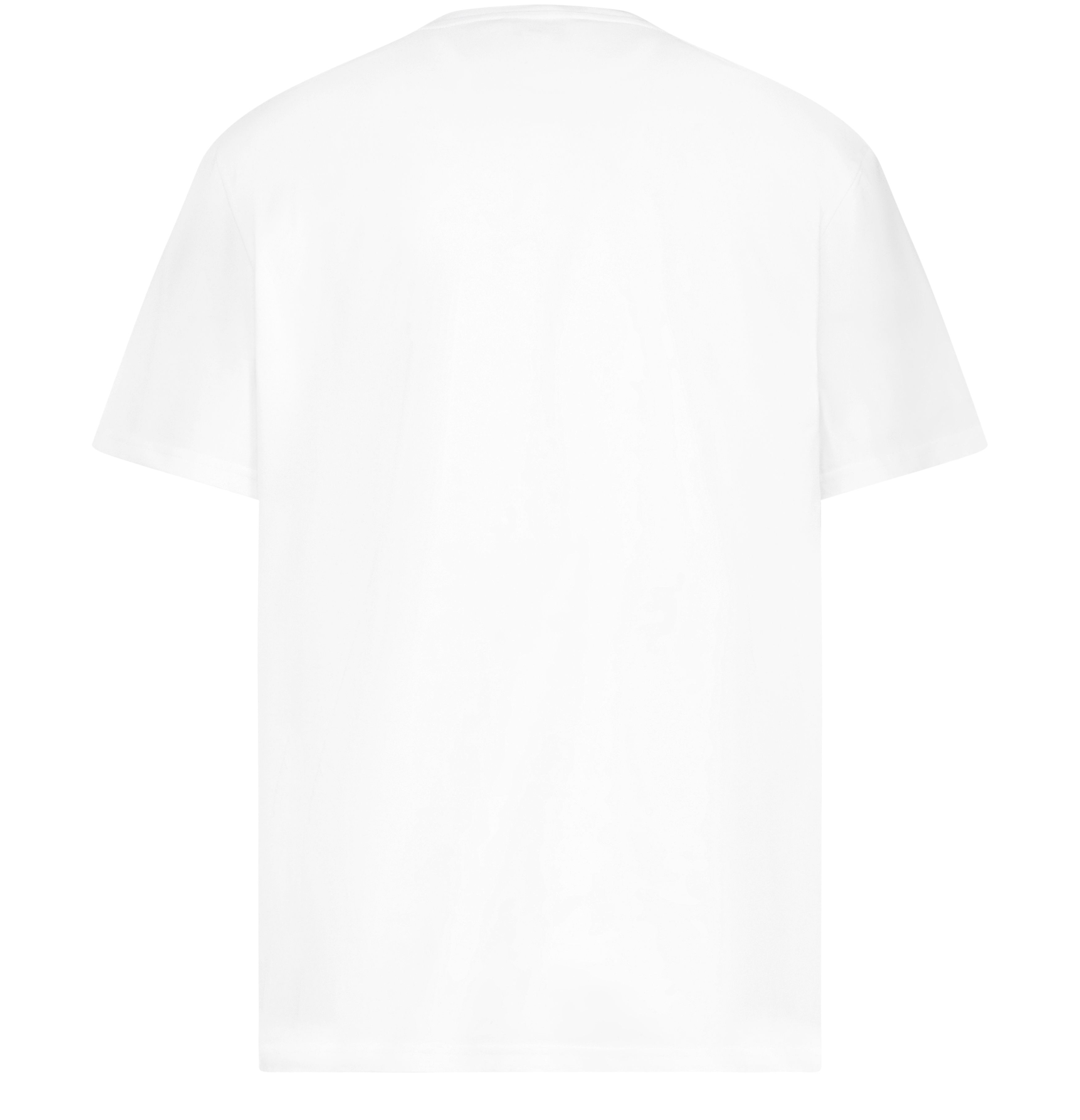 Alexander McQueen T-shirts