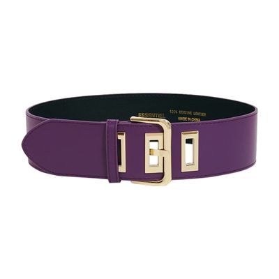  Endeavour belt