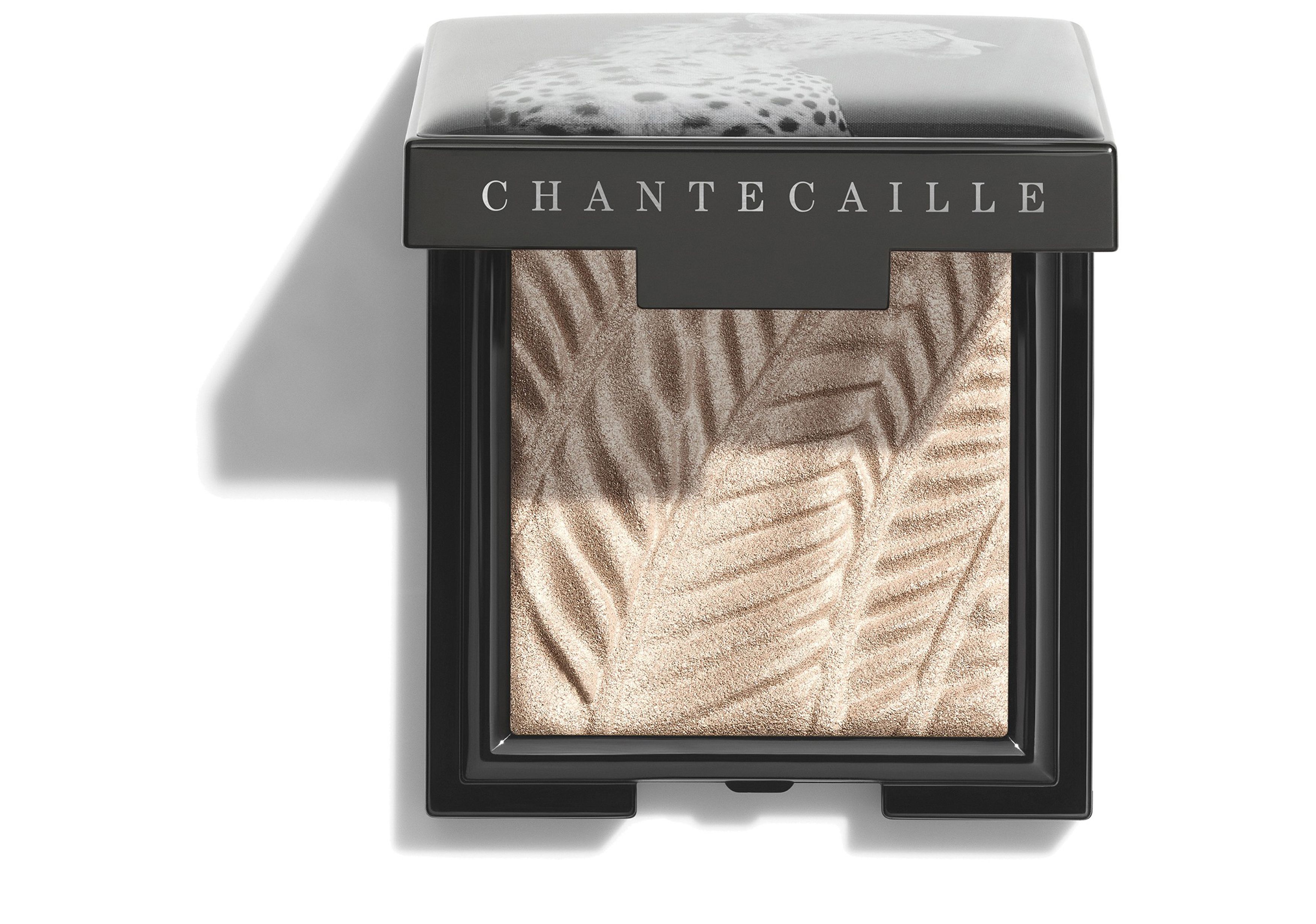 Chantecaille Luminous Eye Shade