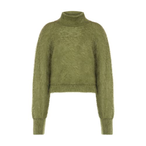 Alberta Ferretti Brushed mohair turtleneck sweater