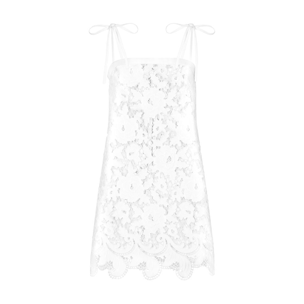Dolce & Gabbana Minidress with floral openwork