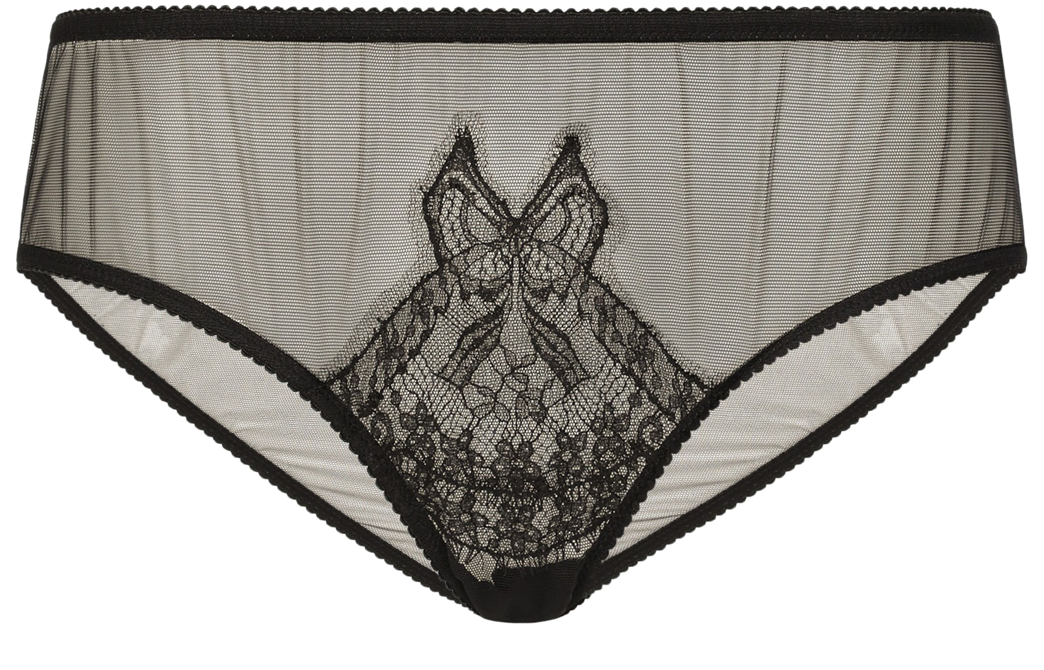 Dolce & Gabbana Tulle briefs with lace inlay