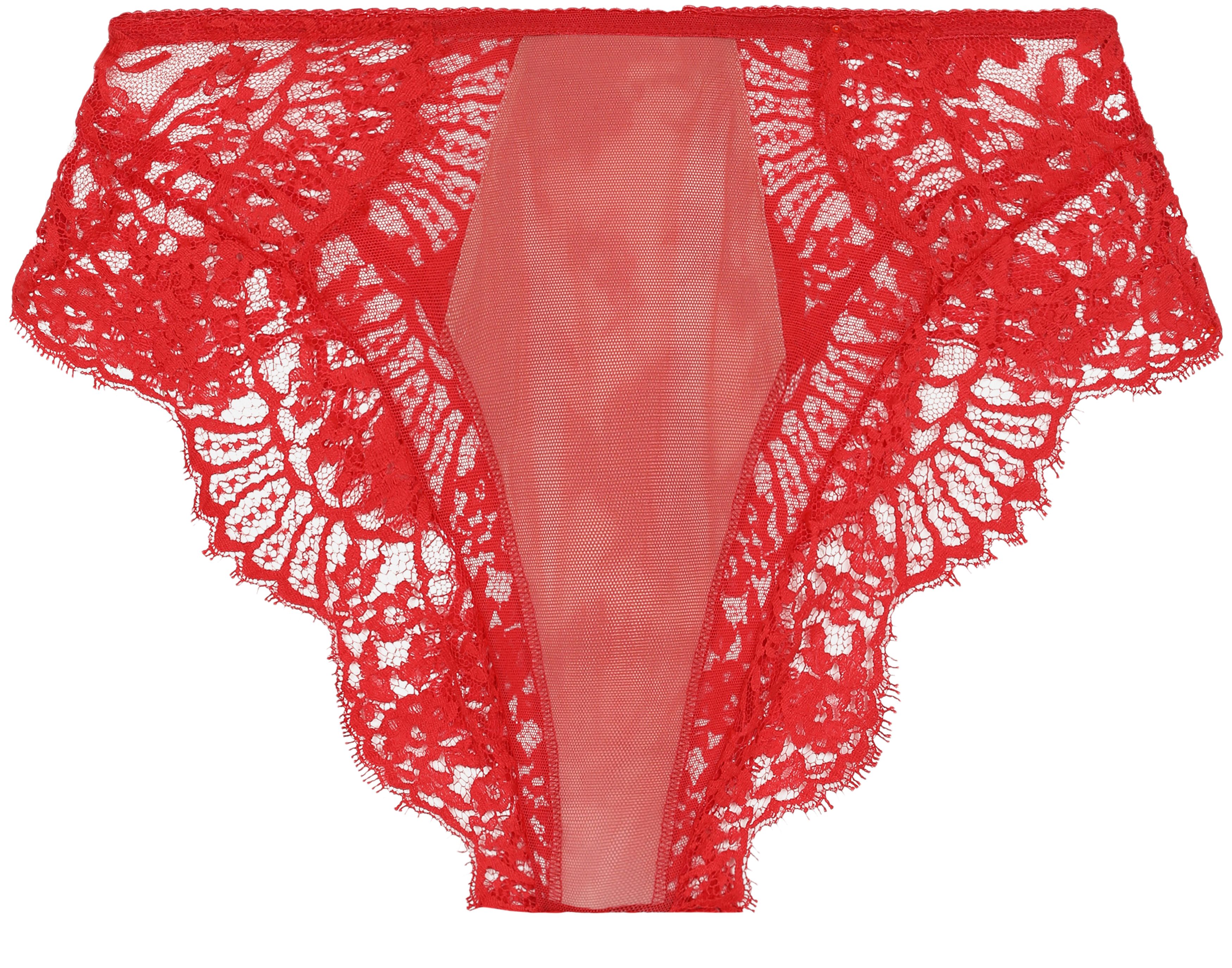 Dolce & Gabbana High-waisted lace briefs