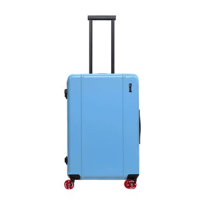  Check-in luggage