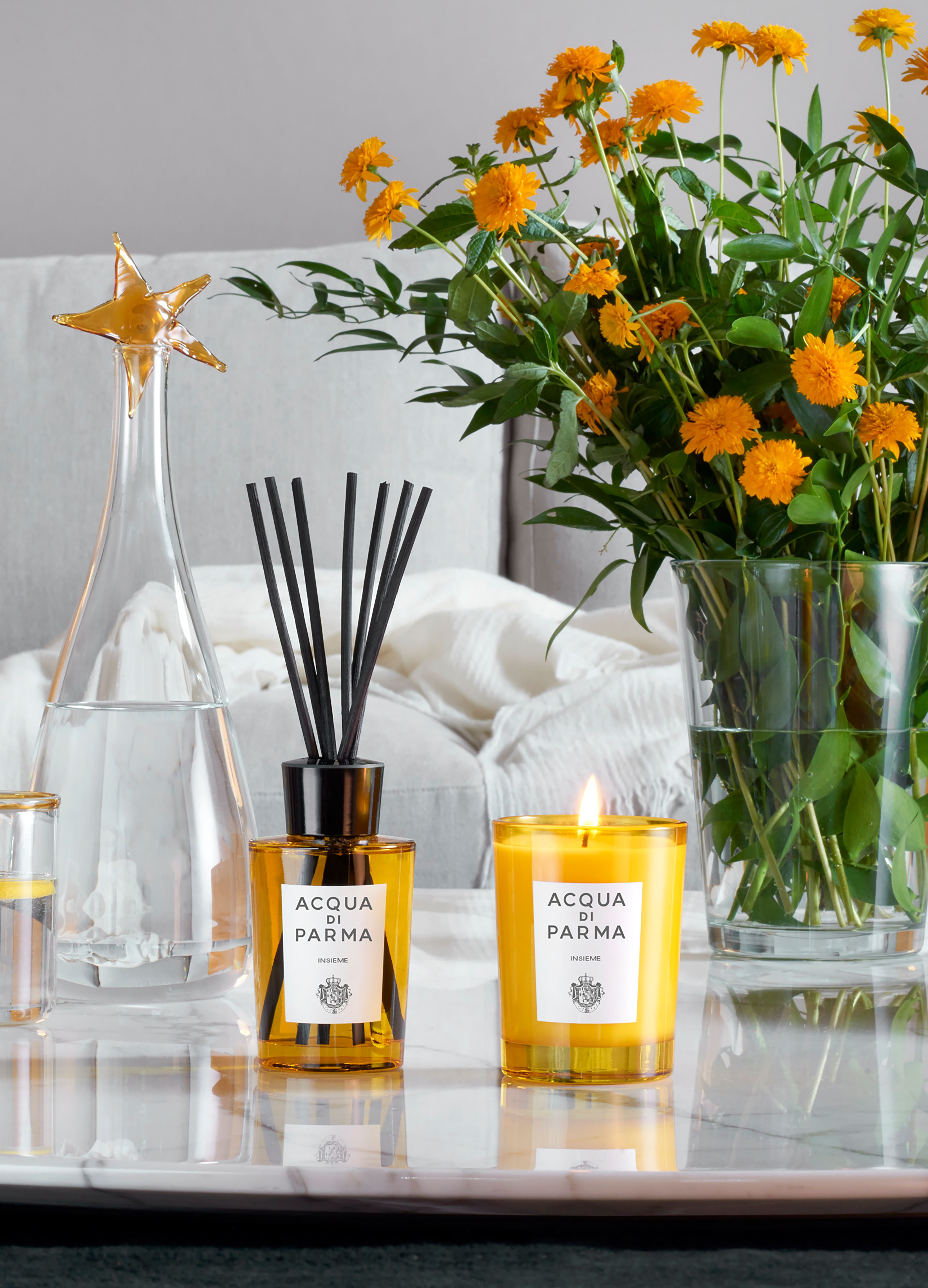 Acqua Di Parma Insieme Room Diffuser 180 ml