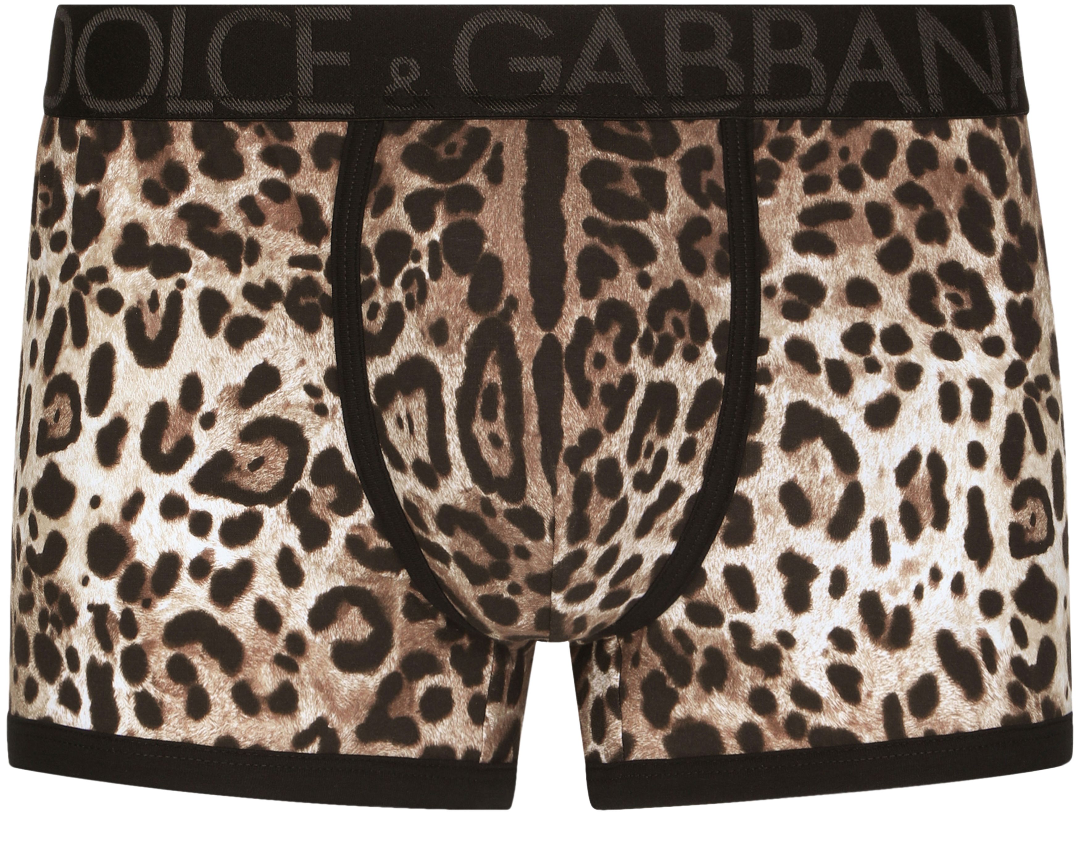 Dolce & Gabbana Leopard-print two-way stretch cotton boxers