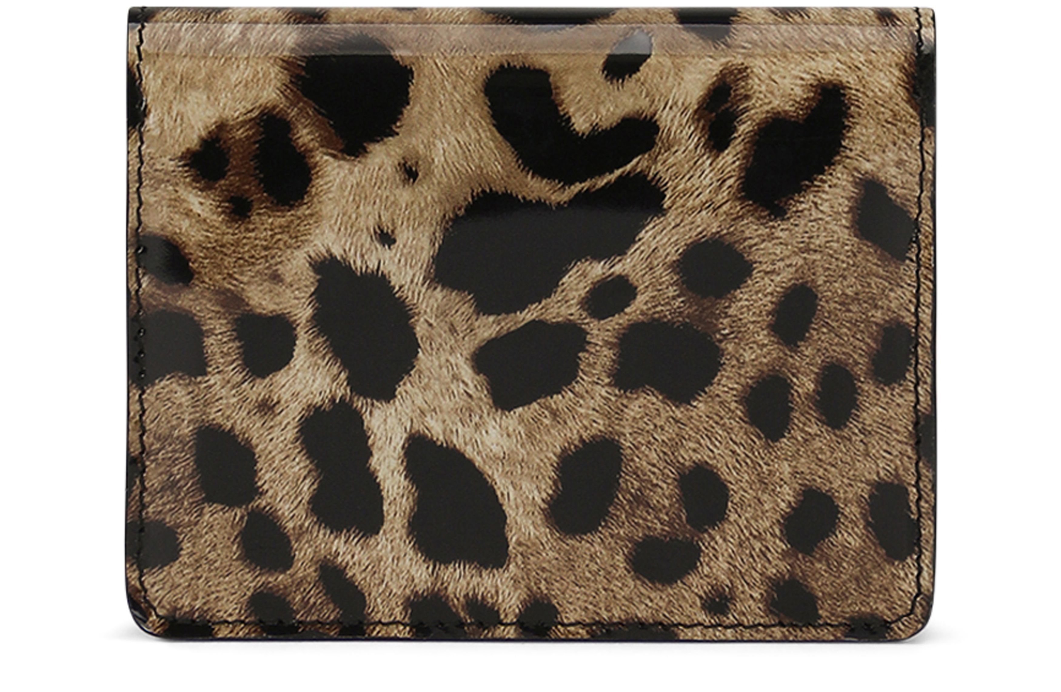 Dolce & Gabbana Polished calfskin wallet with leopard print