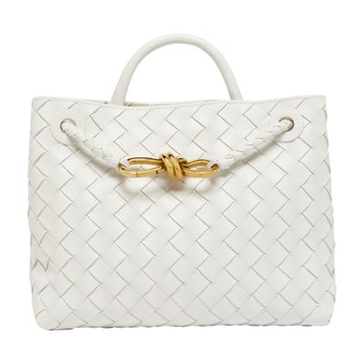 Bottega Veneta Andiamo bag small