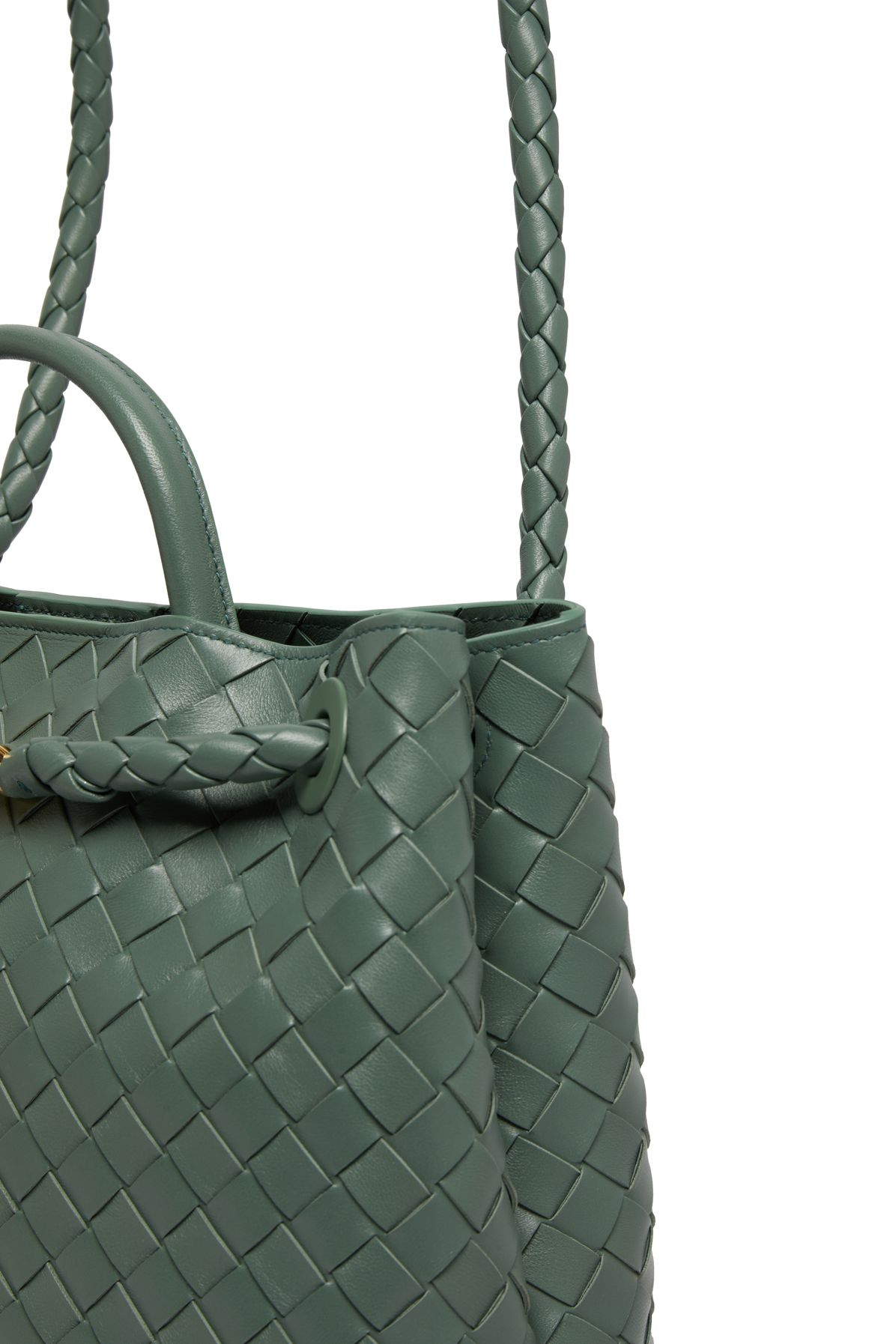 Bottega Veneta Andiamo medium bag