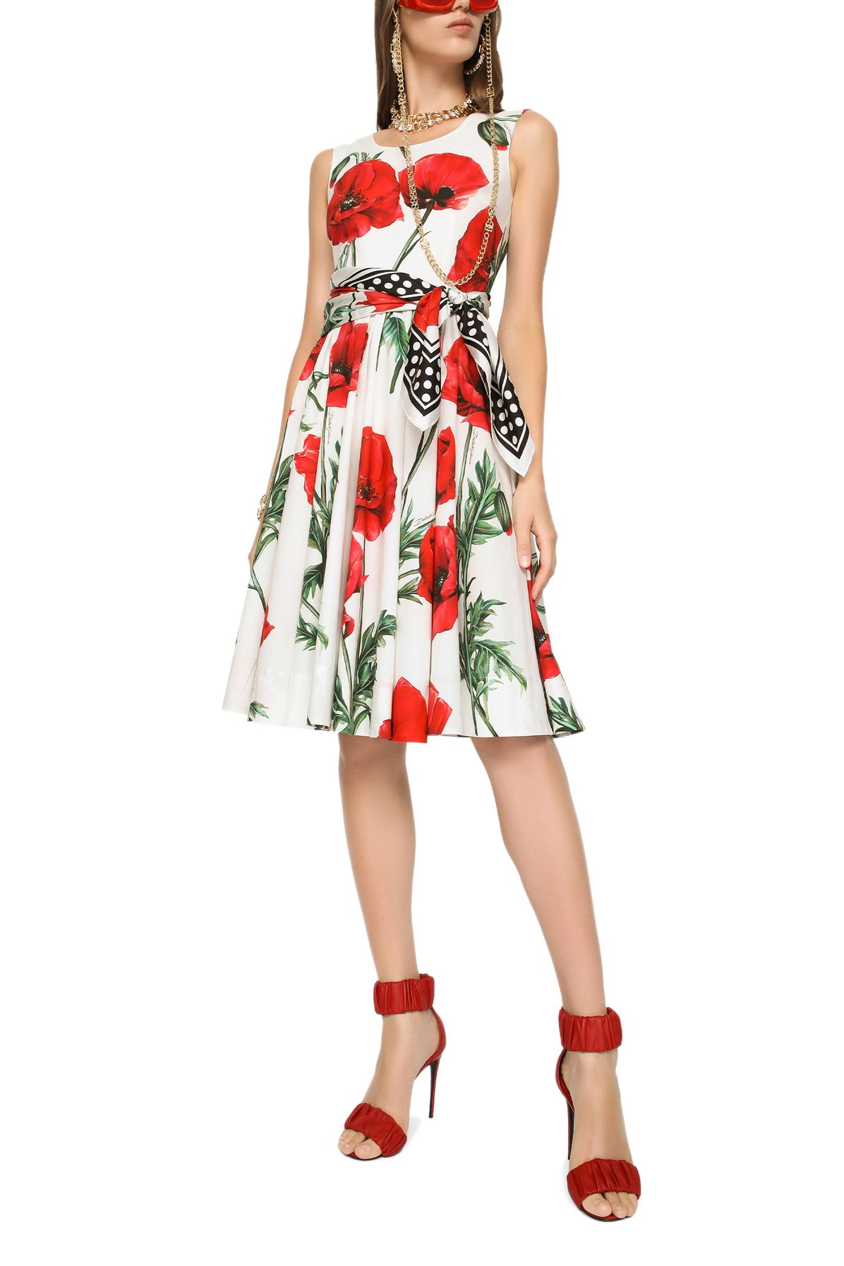 Dolce & Gabbana Poppy-print poplin midi dress