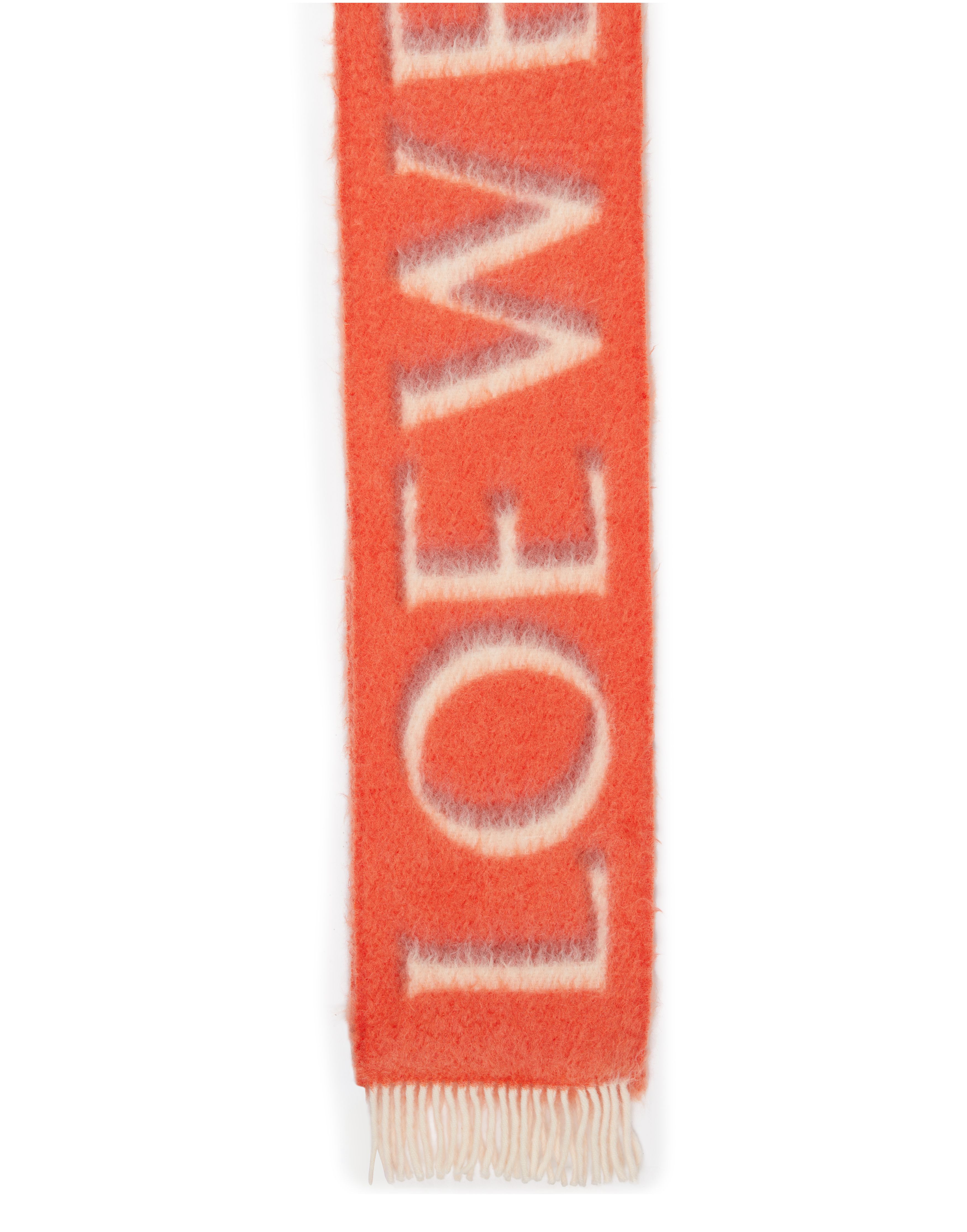 Loewe Loewe scarf