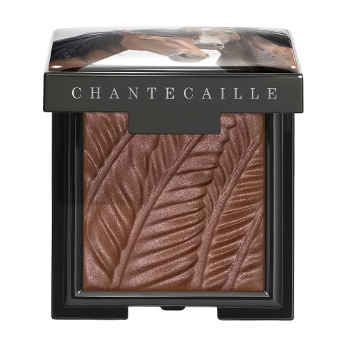 Chantecaille Matte eye shade Bay