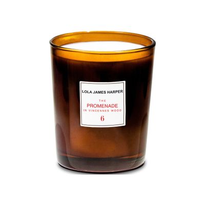  The Promenade in Vincennes Wood candle 190 g