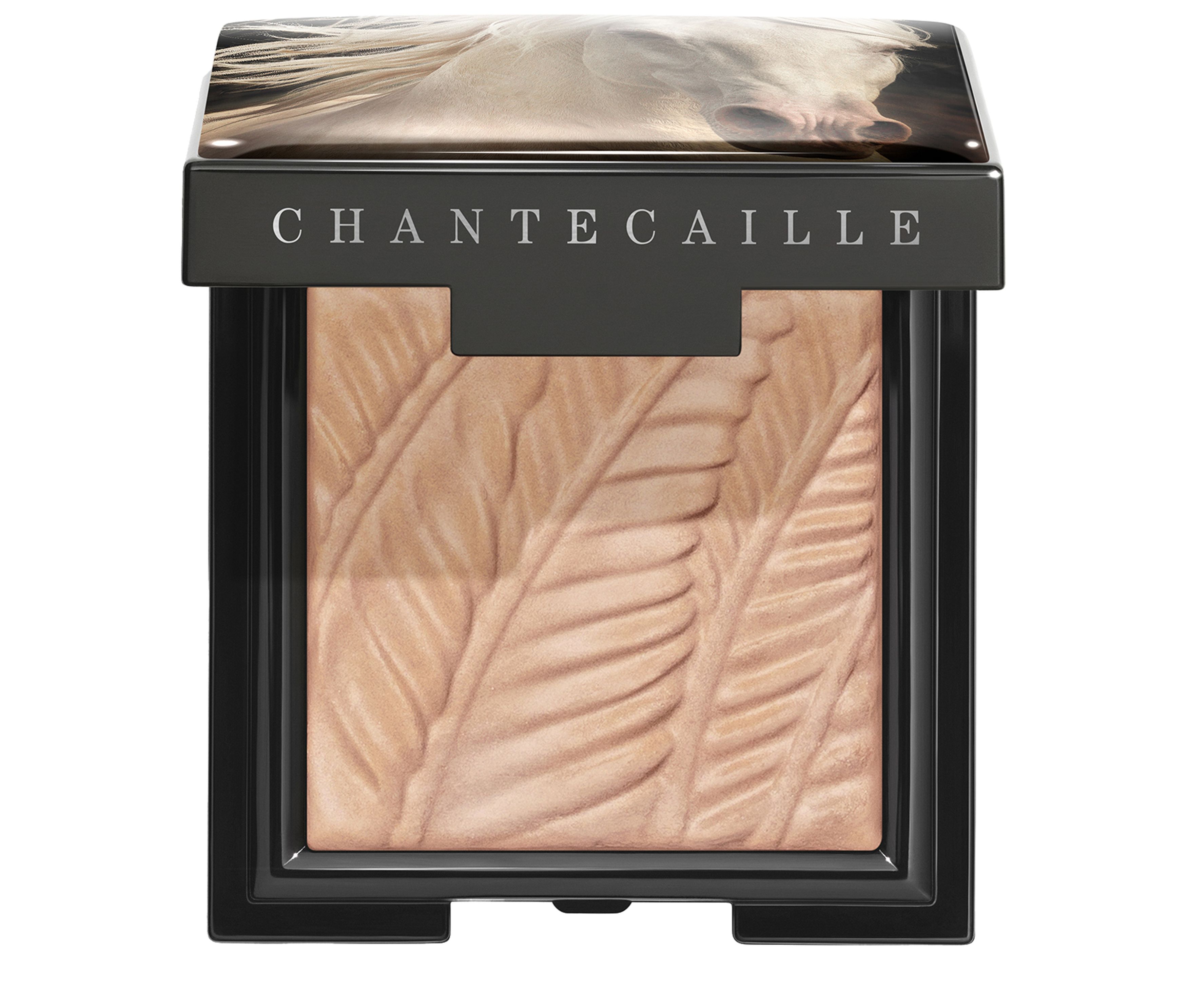 Chantecaille Matte eye shade Palomino