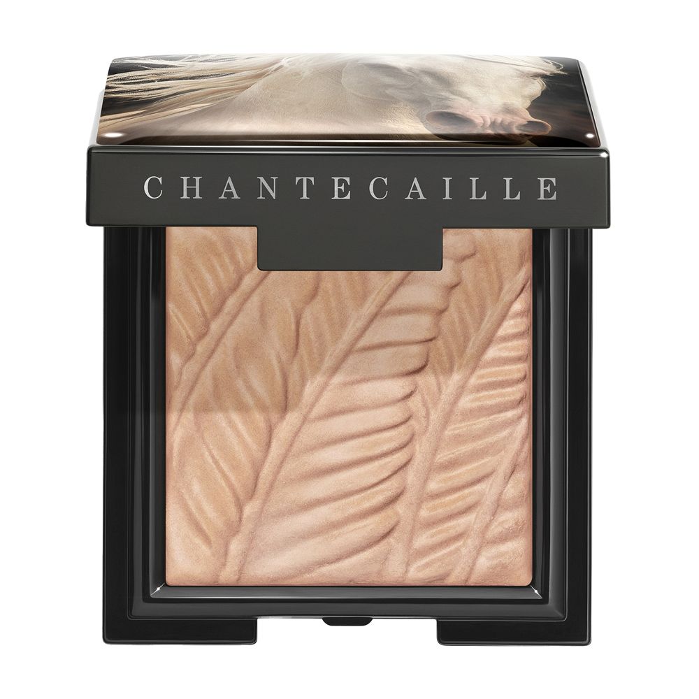 Chantecaille Matte eye shade Palomino