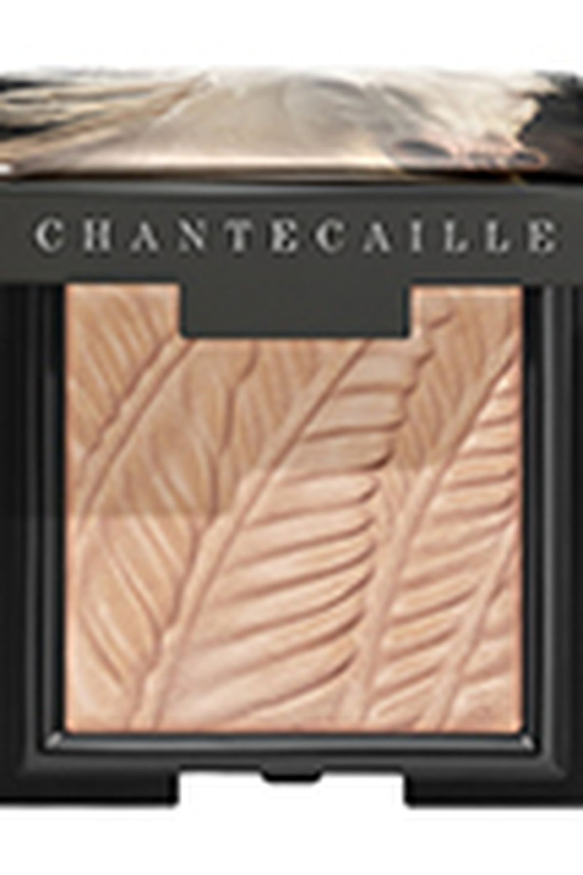 Chantecaille Matte eye shade Bay