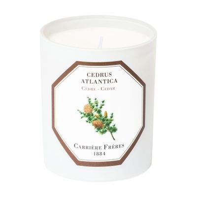  Scented Candle Cedar - Cedrus Atlantica 185 g