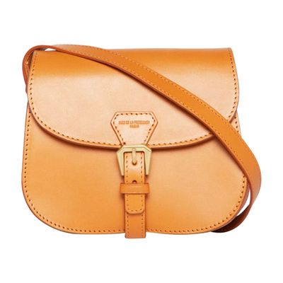  Baby Flâneur leather bag