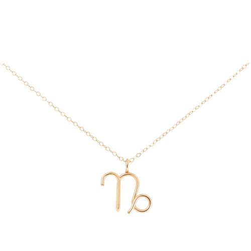  Astro Necklace - Capricorn