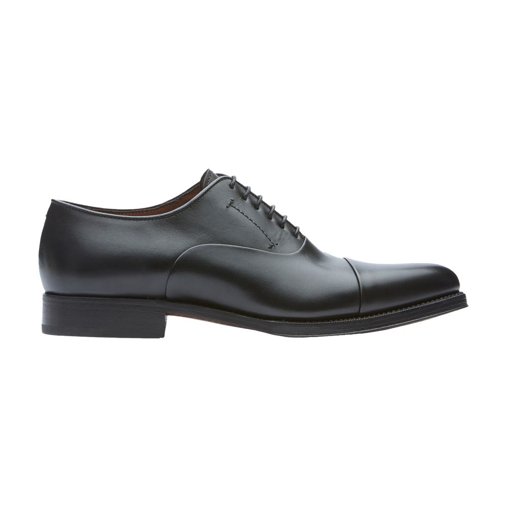  Premium oxford