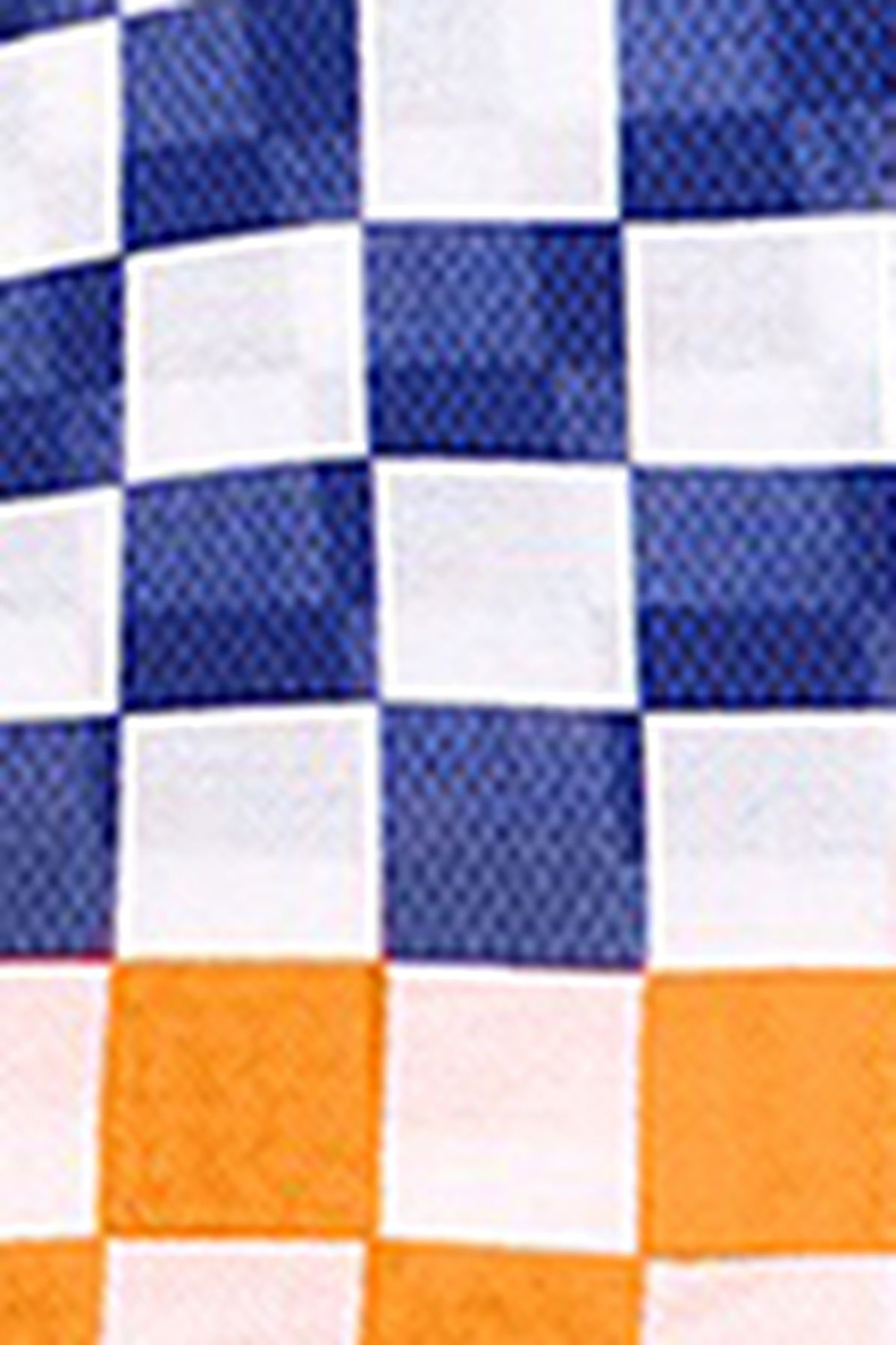  Damier Race Stole