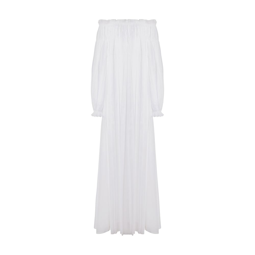 Alberta Ferretti Long dress in pleated organza