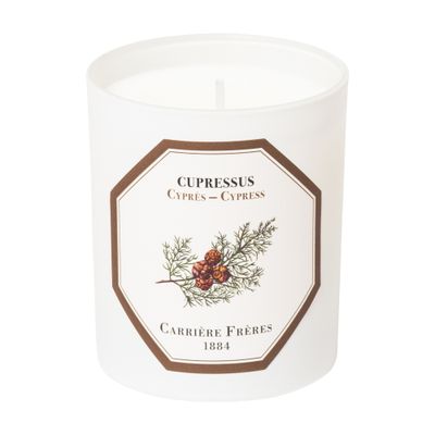  Scented Candle Cypress - Cupressus - 185 g