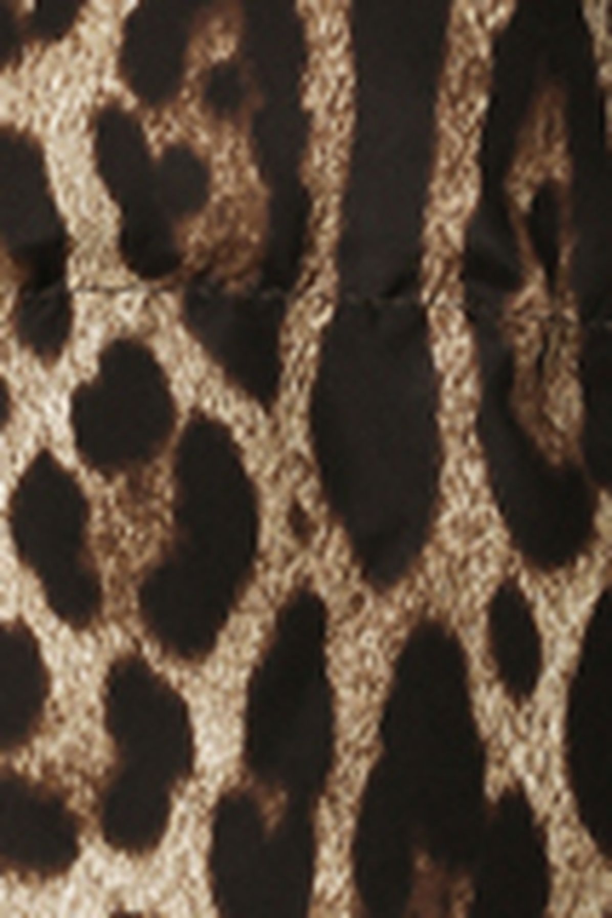 Dolce & Gabbana Padded leopard-print nylon jacket