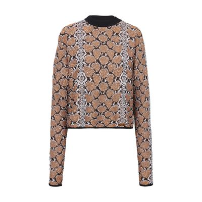 Balmain Snakeskin Knit Sweater