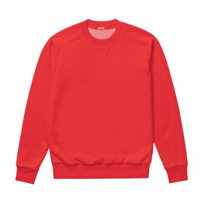  Cotton jersey sweatshirt