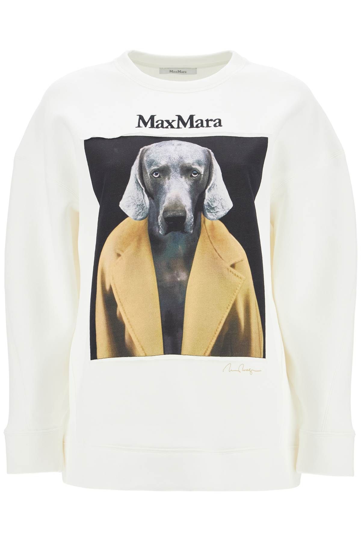 Max Mara MAX MARA wegman printed sweatshirt