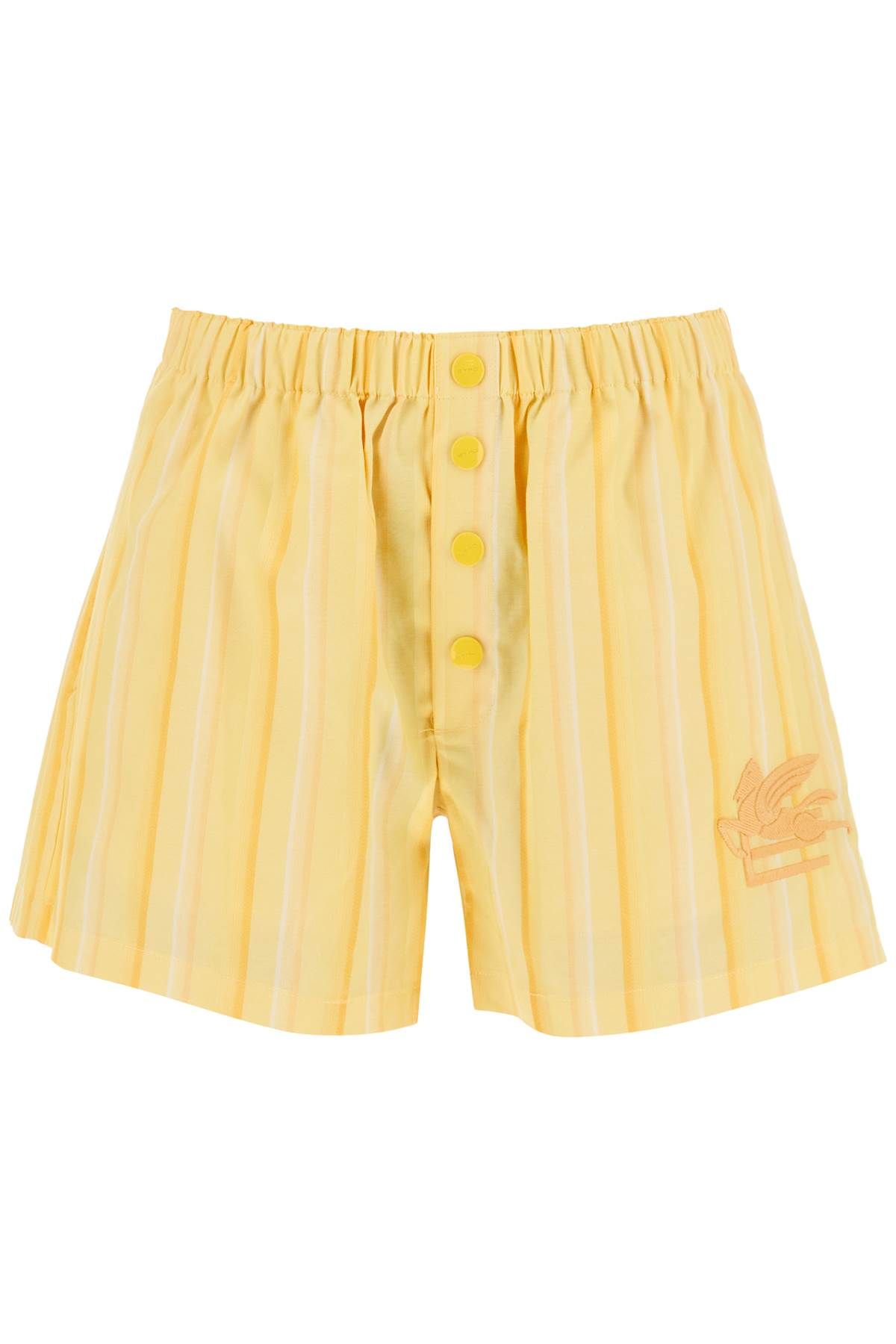 Etro ETRO striped shorts with logo embroidery