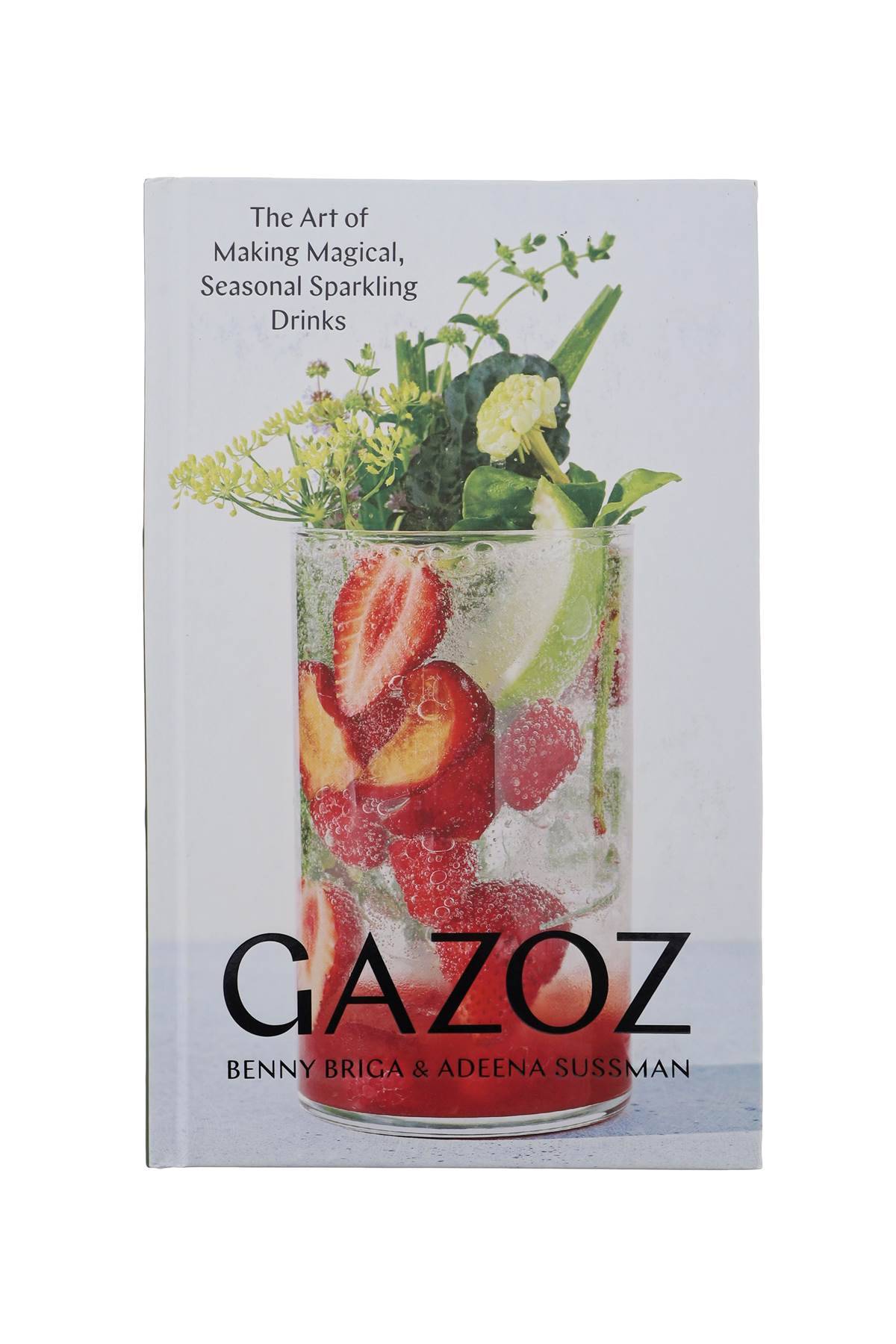 NEW MAGS NEW MAGS gazoz - the art of making magical, seasonal sparkling drinks