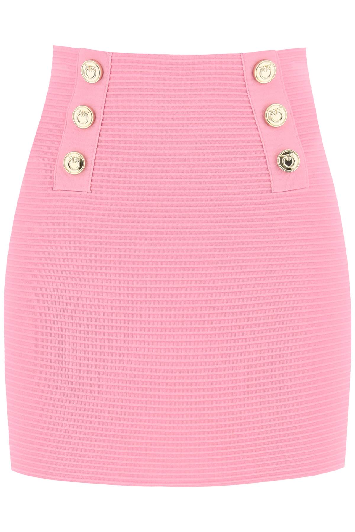 Pinko PINKO cipresso mini skirt with love birds buttons